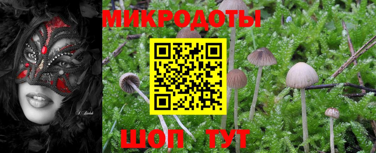 Псилоцибиновые грибы Psilocybine cubensis  наркошоп  Малгобек  Вход с VPN 